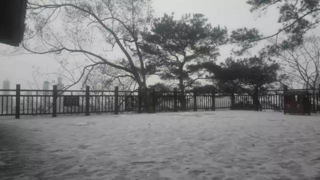 南宁今早下雪了!更鸡冻的是,今晚还有!(多图)