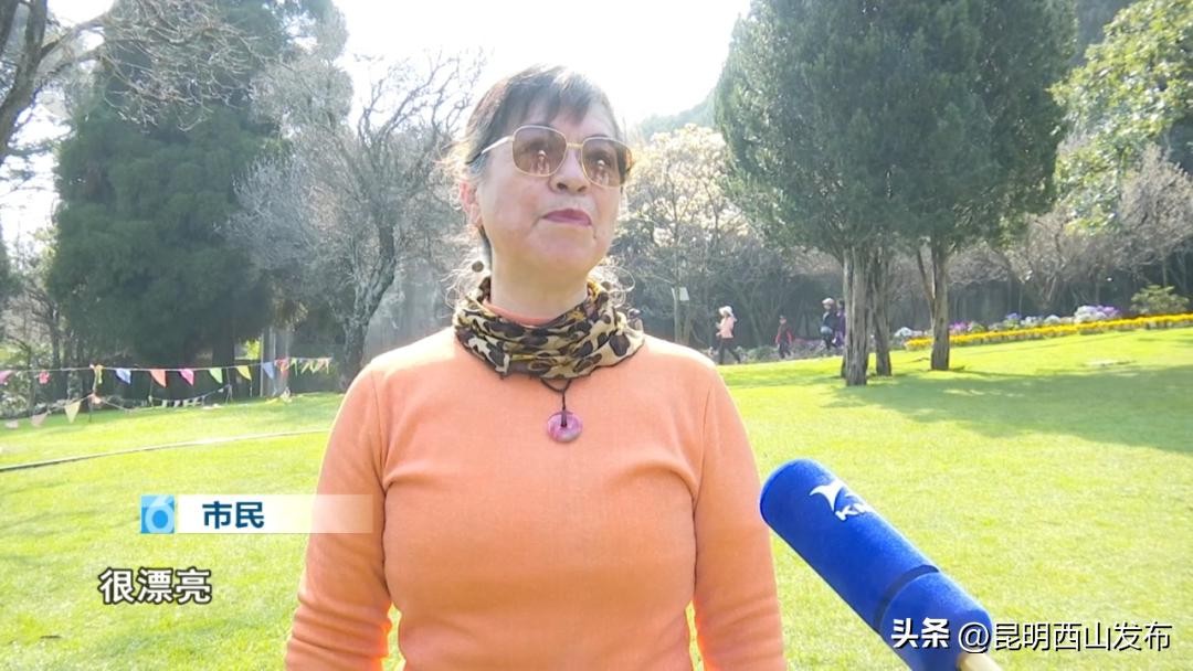 春日浪漫指南:西山玉兰园,一场不可错过的花漾盛宴,花期将尽速来观赏~