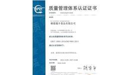 探索i9001的优势与劣势(一款经典智能手机的全面评估)