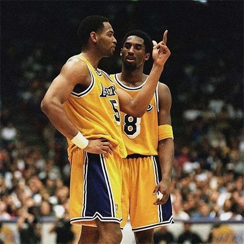 NBA365天365星——罗伯特霍利
