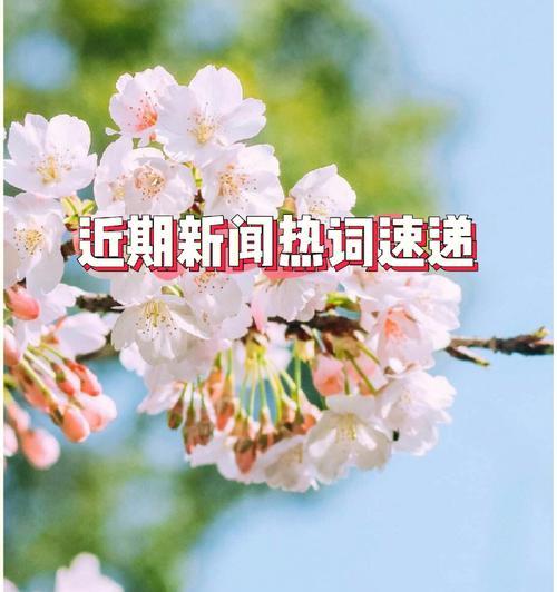 手机新闻拍摄技巧大揭秘（掌握手机拍摄技巧，轻松打造专业手机新闻内容）