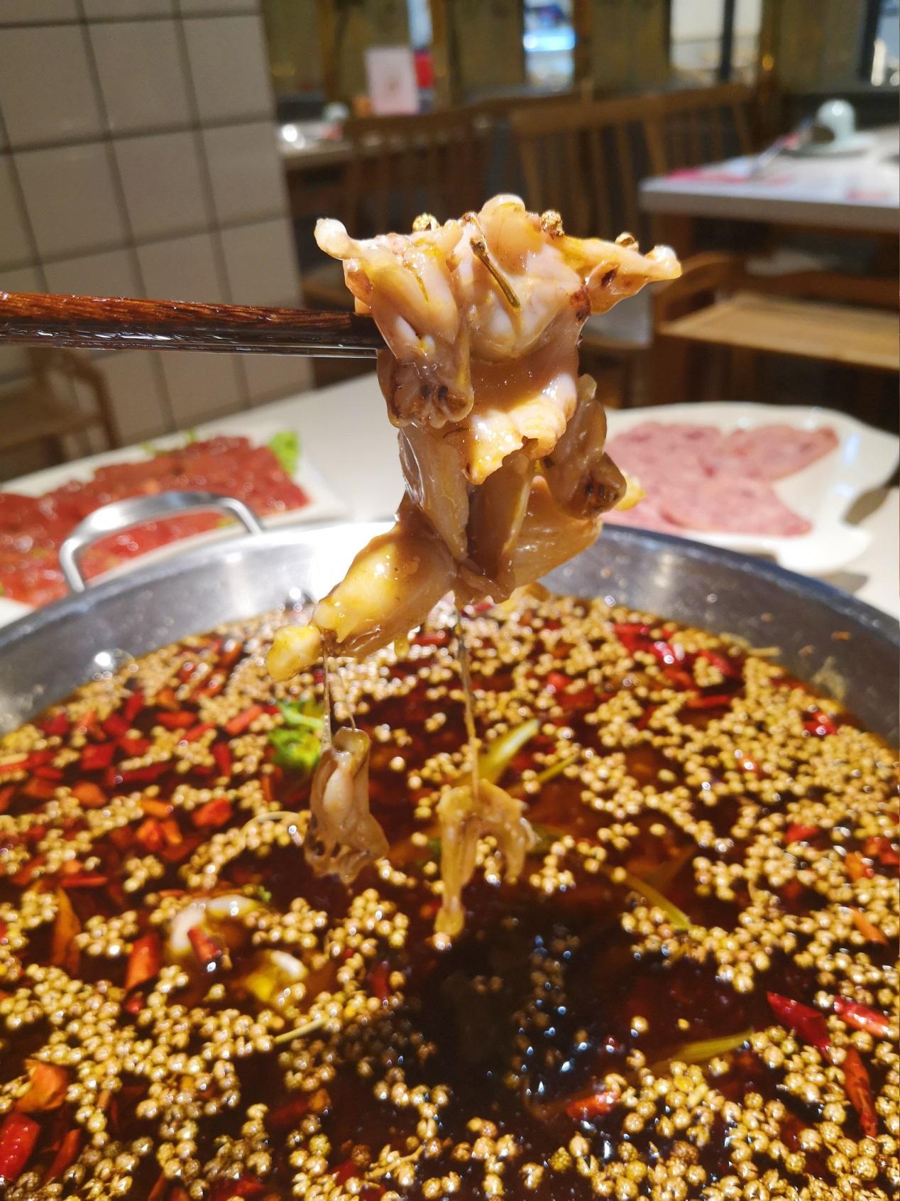 ​爆吃大融城 海鲜 日料 异域特色……这些美食店值得挨个打卡