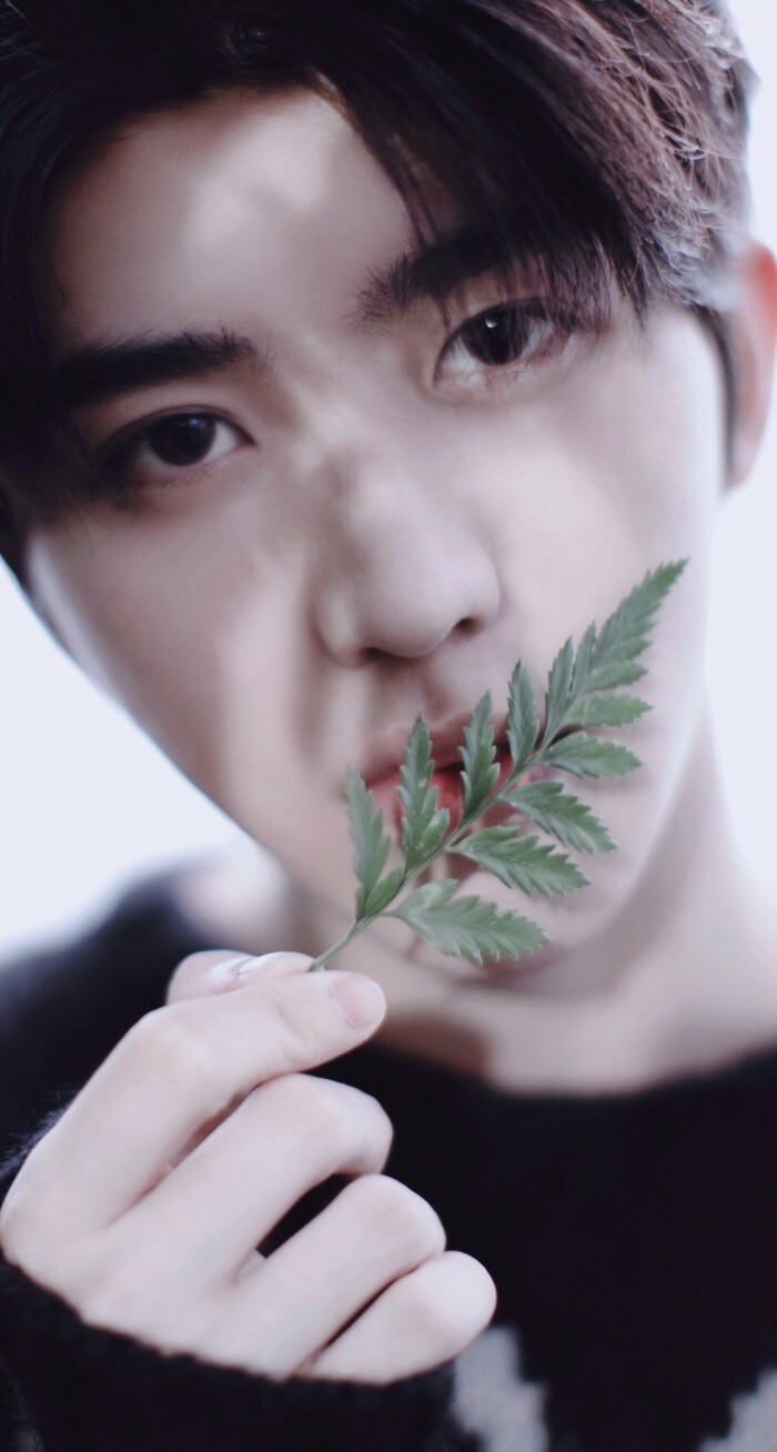 ikun集合啦,你的百变男孩蔡徐坤壁纸合辑