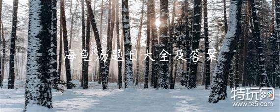 海龟汤题目大全及答案 海龟汤题目大全及答案攻略