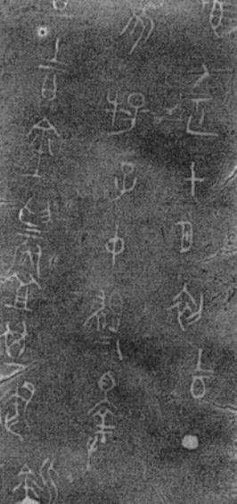 春秋古国-唐国,盛产骕骦宝马,借吴国灭楚,惹火上身