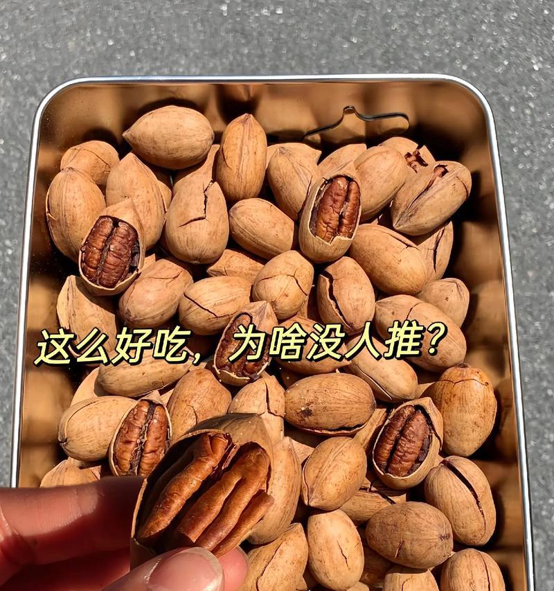 坚果1手机配置全面解析(深入剖析坚果1手机的硬件和软件特点)