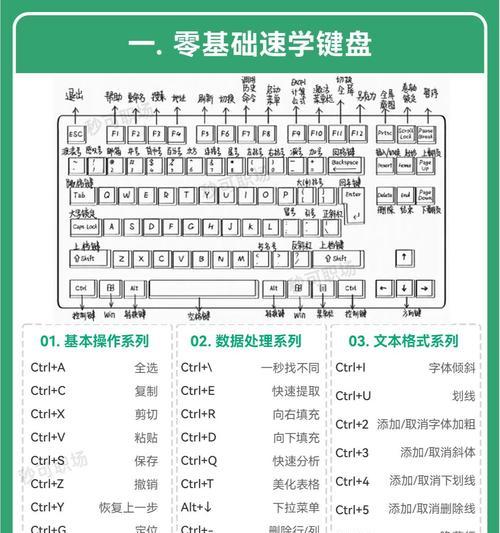 电脑新手如何制作表格(简单易懂的表格制作教程)