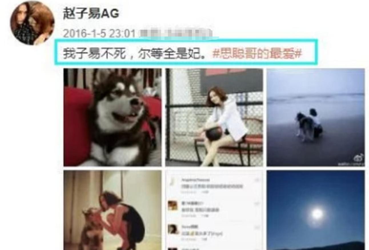 “人仗狗势”赵子易:熬走王思聪多任女友,负面不断为何独得宠爱