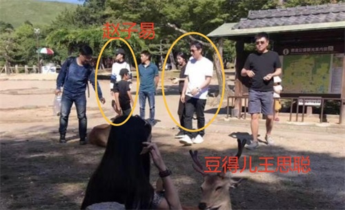 “人仗狗势”赵子易:熬走王思聪多任女友,负面不断为何独得宠爱