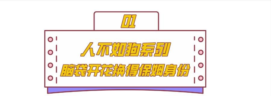 “人仗狗势”赵子易:熬走王思聪多任女友,负面不断为何独得宠爱
