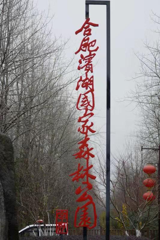 合肥滨湖国家森林公园-原汁原味原生态的“养人”之地