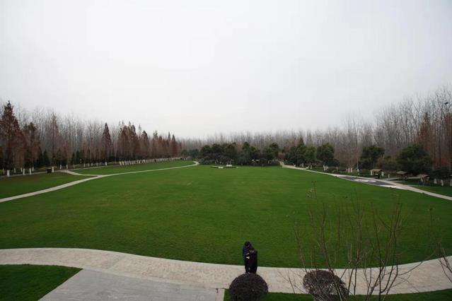合肥滨湖国家森林公园-原汁原味原生态的“养人”之地