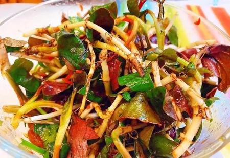 ​鱼腥草咋吃(鱼腥草怎么食用效果好)