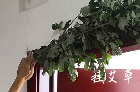 端午五色线是哪五色 端午带五彩绳的寓意 端午五色线是哪五色 端午带五彩绳的寓意