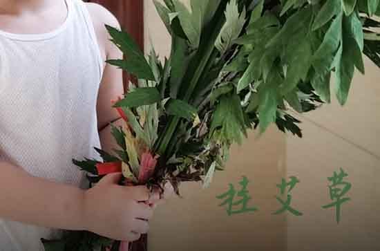 端午送礼送什么礼品最好 端午节送礼物品排行 端午送礼送什么礼品最好 端午节送礼物品排行