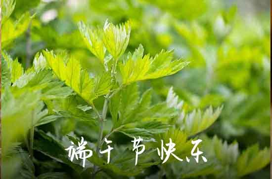 为什么说端午节寒气最重 这3个角度解析原因你要了解 为什么说端午节寒气最重 这3个角度解析原因你要了解