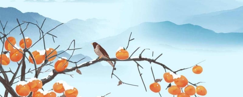 柿子不能和什么一起吃