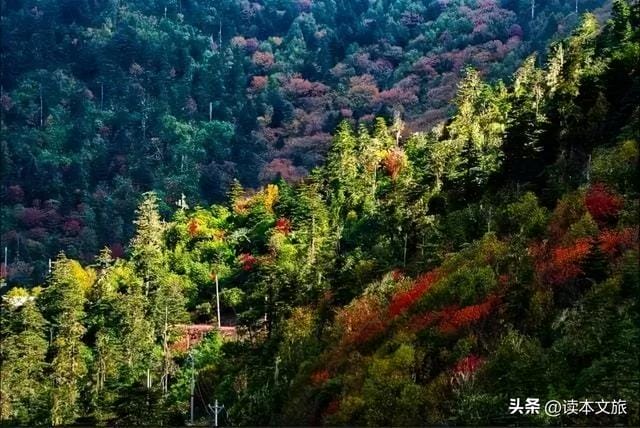 丽江七月旅游(丽江上榜2022年十大赏秋旅行目的地) 丽江七月旅游(丽江上榜2023年十大赏秋旅行目的地)