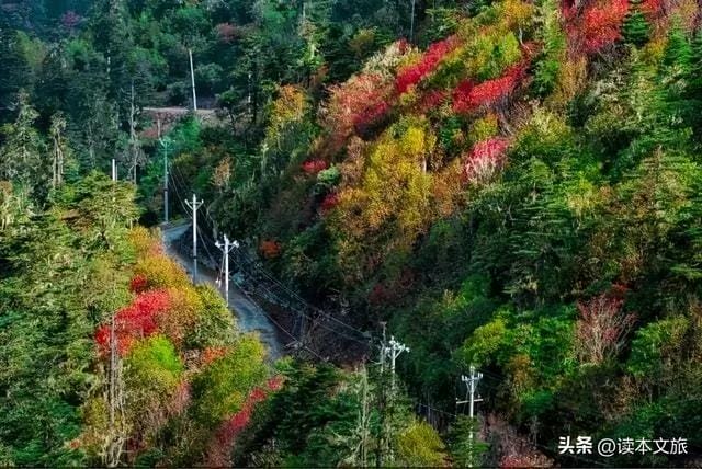 丽江七月旅游(丽江上榜2022年十大赏秋旅行目的地) 丽江七月旅游(丽江上榜2023年十大赏秋旅行目的地)