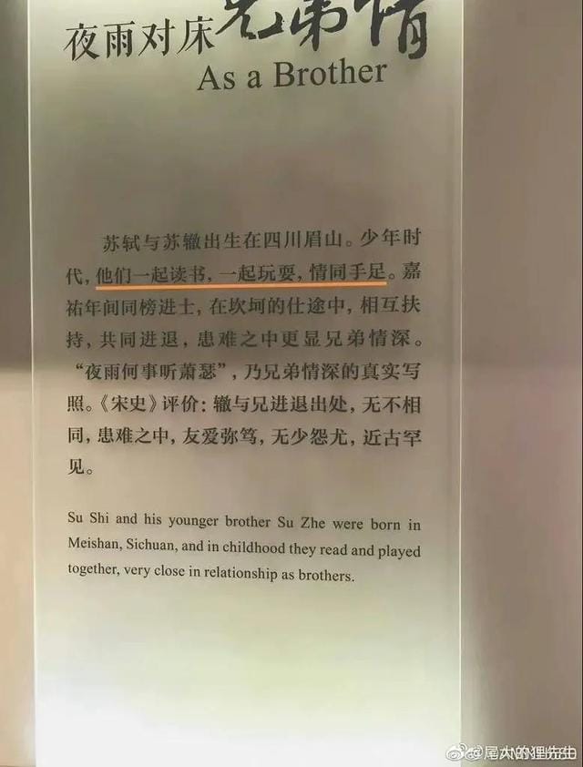 苏轼跟苏辙是亲兄弟吗(苏轼和苏辙情同手足) 苏轼跟苏辙是亲兄弟吗(苏轼和苏辙情同手足)