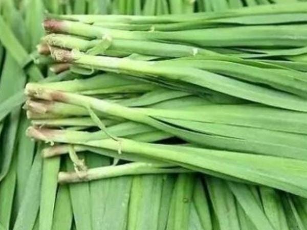 孕期哪些蔬菜不能吃的(孕期多吃蔬菜没有错) 孕期哪些蔬菜不能吃的(孕期多吃蔬菜没有错)