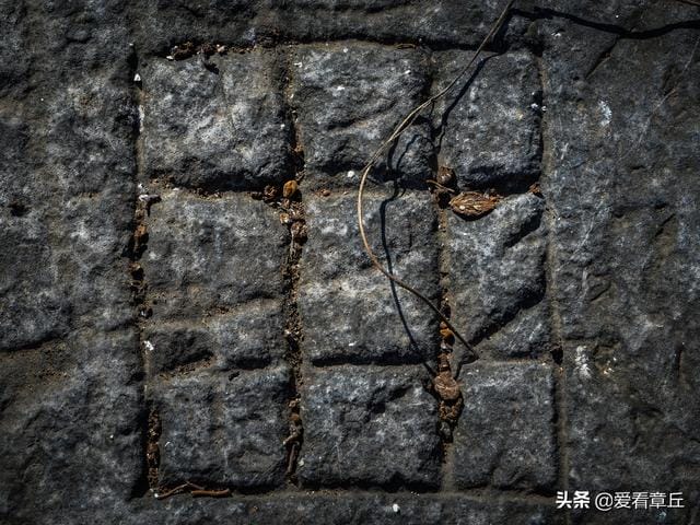 历史上最难的猜字谜游戏(堵和尚下联儿二顶一) 历史上最难的猜字谜游戏(堵和尚下联儿二顶一)