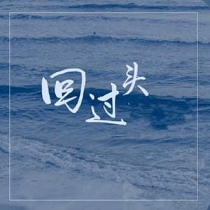 回过头已是沧桑再多累也无处讲是什么歌（回过头已是沧桑再多累也无处讲是哪首歌）