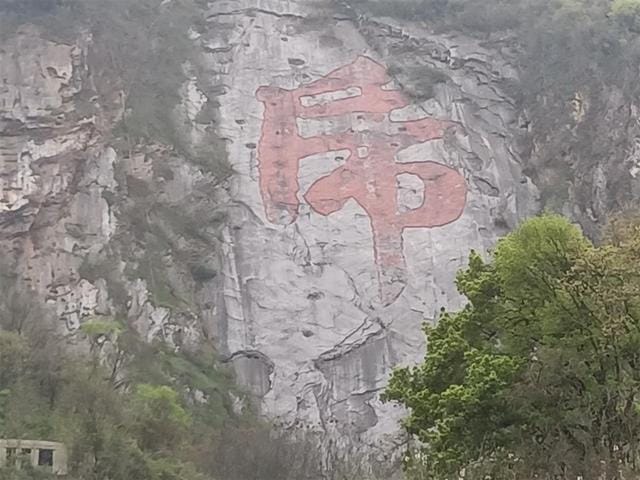 老虎石刻特点(世界最大的虎字走红网络) 老虎石刻特点(世界最大的虎字走红网络)