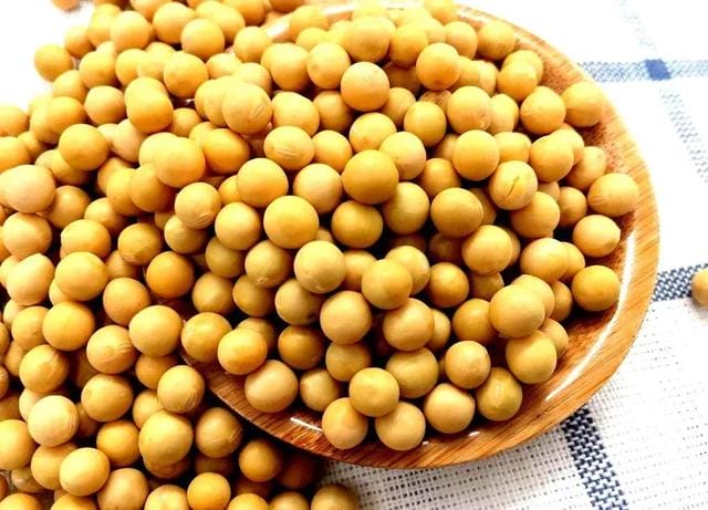 吃什么食物能帮助提高记忆力(帮你提高记忆力) 吃什么食物能帮助提高记忆力 帮你提高记忆力