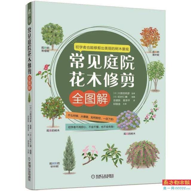 张爱玲风雨人生 重新打量张爱玲