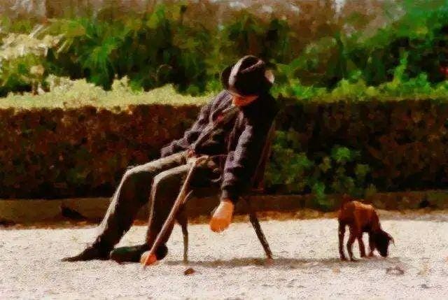讲述家族每个人不同的命运(每代人都要与命运对抗) 讲述家族每个人不同的命运 每代人都要与命运对抗
