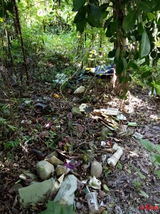 景区垃圾桶不让扔垃圾(绿化带背后垃圾遍地) 景区垃圾桶不让扔垃圾 绿化带背后垃圾遍地