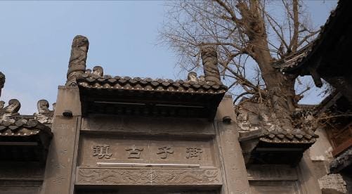 年夜饭必上的一道点心(8000万人的年夜饭都有它) 年夜饭必上的一道点心 8000万人的年夜饭都有它