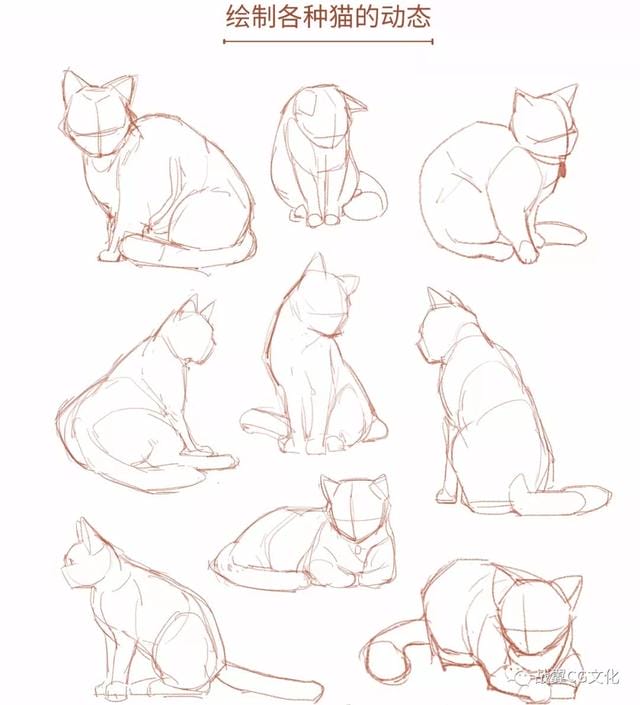 一招教你画猫咪简单易学(如何轻松画出很多只可爱的小猫) 一招教你画猫咪简单易学 如何轻松画出很多只可爱的小猫