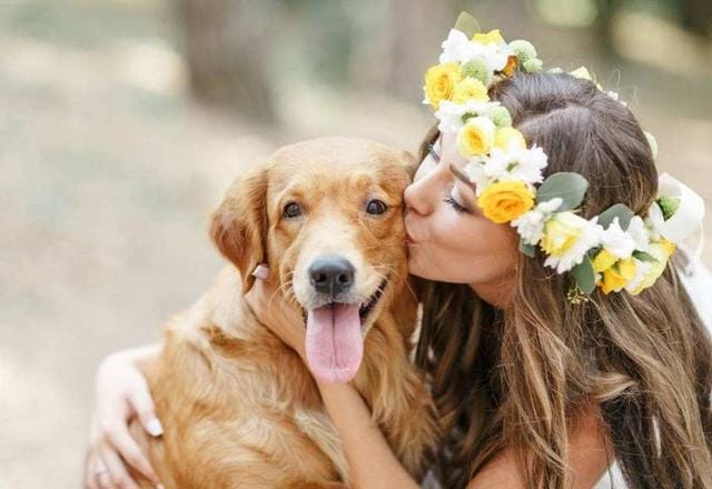 养狗容易得狂犬病(为什么养狗可能会得狂犬病) 养狗容易得狂犬病 为什么养狗可能会得狂犬病