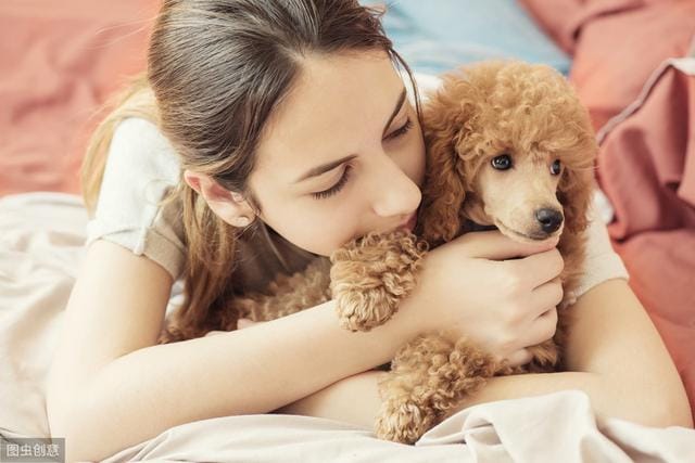 养狗容易得狂犬病(为什么养狗可能会得狂犬病) 养狗容易得狂犬病 为什么养狗可能会得狂犬病