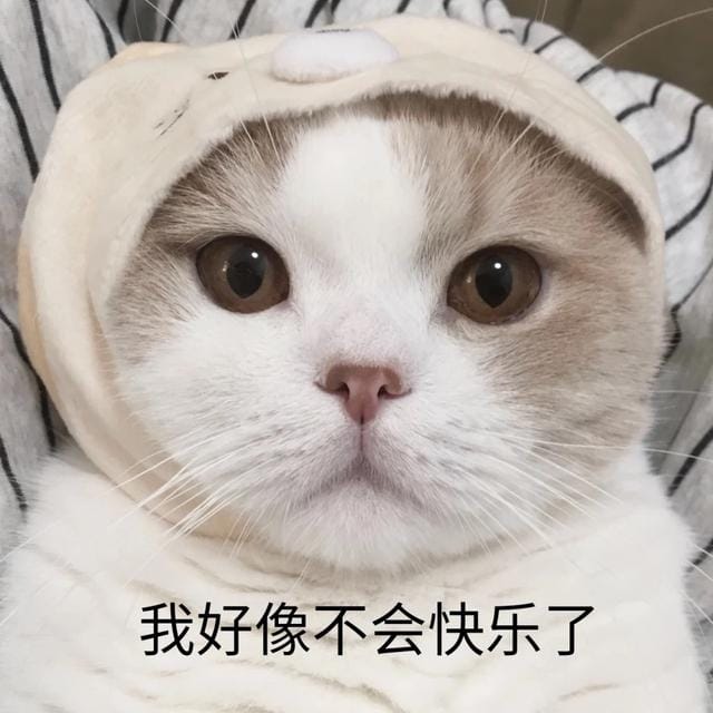 猫咪经常对主人做出攻击性动作(一只猫真正背叛) 猫咪经常对主人做出攻击性动作 一只猫真正背叛