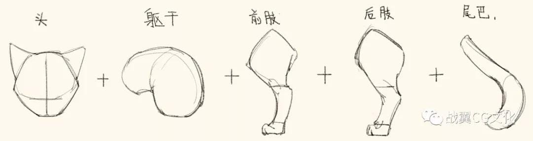 一招教你画猫咪简单易学(如何轻松画出很多只可爱的小猫) 一招教你画猫咪简单易学 如何轻松画出很多只可爱的小猫