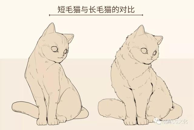 一招教你画猫咪简单易学(如何轻松画出很多只可爱的小猫) 一招教你画猫咪简单易学 如何轻松画出很多只可爱的小猫
