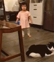 猫咪经常对主人做出攻击性动作(一只猫真正背叛) 猫咪经常对主人做出攻击性动作 一只猫真正背叛