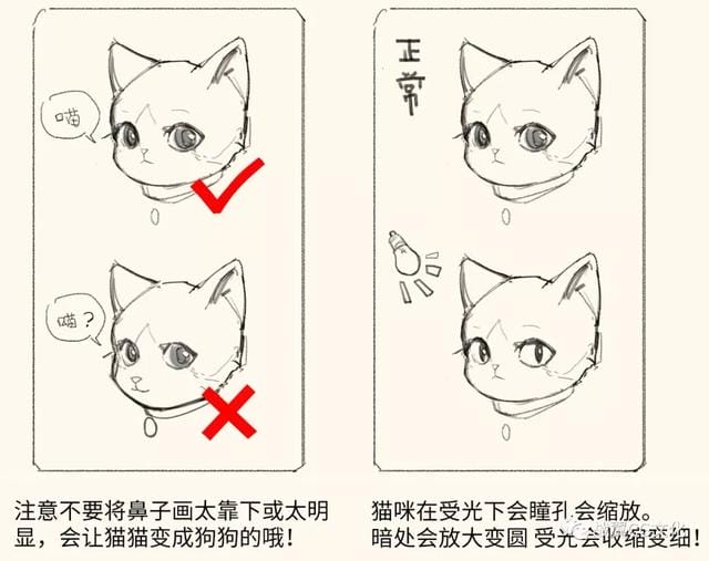 一招教你画猫咪简单易学(如何轻松画出很多只可爱的小猫) 一招教你画猫咪简单易学 如何轻松画出很多只可爱的小猫