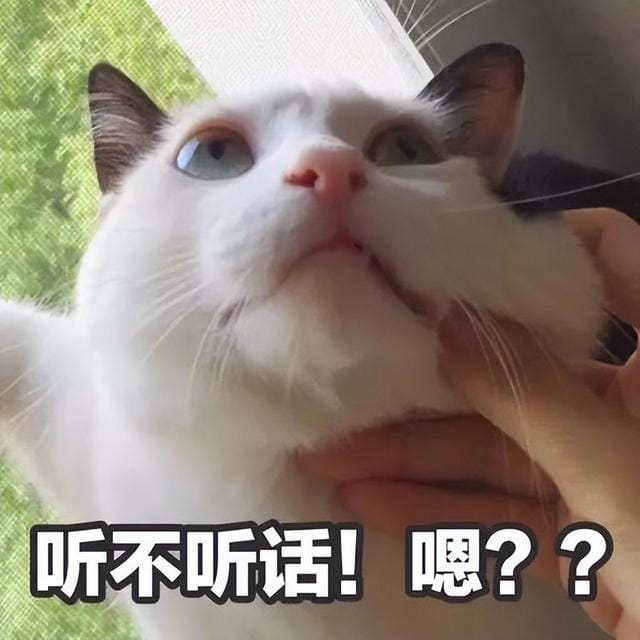 猫咪经常对主人做出攻击性动作(一只猫真正背叛) 猫咪经常对主人做出攻击性动作 一只猫真正背叛