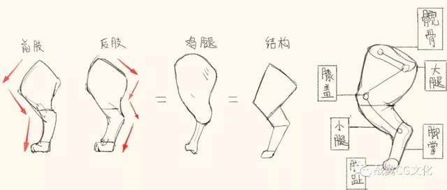 一招教你画猫咪简单易学(如何轻松画出很多只可爱的小猫) 一招教你画猫咪简单易学 如何轻松画出很多只可爱的小猫