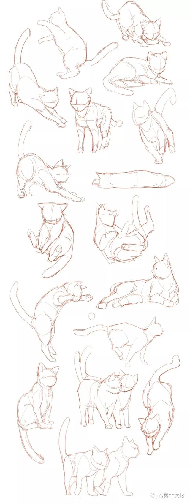 一招教你画猫咪简单易学(如何轻松画出很多只可爱的小猫) 一招教你画猫咪简单易学 如何轻松画出很多只可爱的小猫