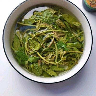 咸香椿拌豆腐做法(春日时令美味尝鲜) 咸香椿拌豆腐做法 春日时令美味尝鲜