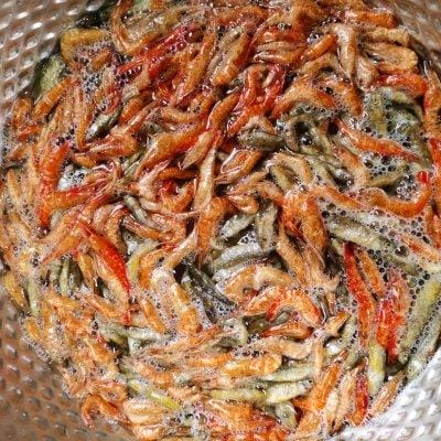 川味鱼香红油菜图解(青红椒炒小鱼小虾) 川味鱼香红油菜图解 青红椒炒小鱼小虾