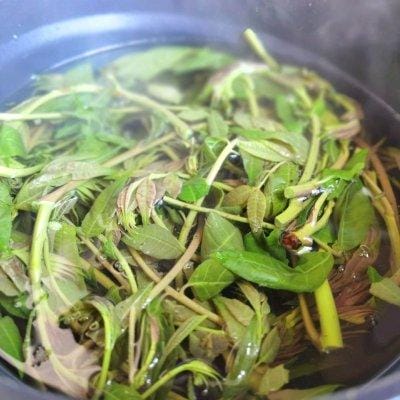 咸香椿拌豆腐做法(春日时令美味尝鲜) 咸香椿拌豆腐做法 春日时令美味尝鲜