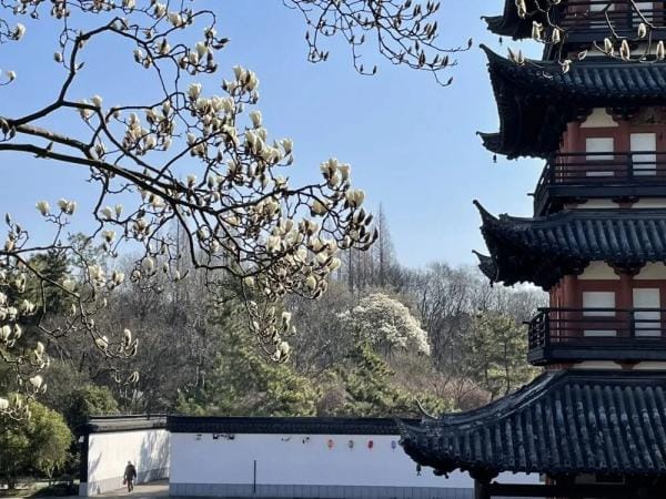 旅游景点三八妇女节优惠(上海这些景点打折优惠啦) 旅游景点三八妇女节优惠 上海这些景点打折优惠啦