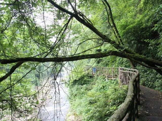 德阳旅游景点排行榜(四川德阳值得推荐的十个旅游景点) 德阳旅游景点排行榜 四川德阳值得推荐的十个旅游景点