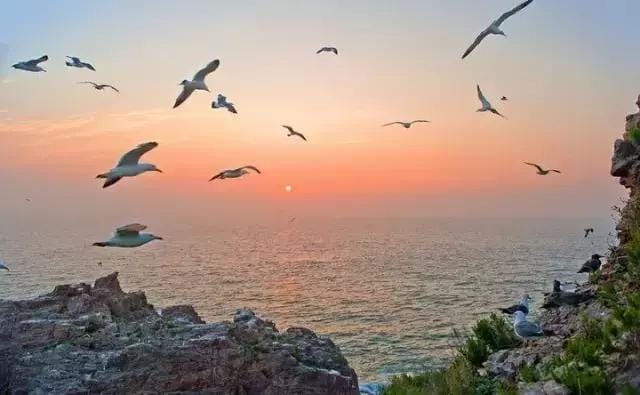 威海旅游5天必去景点(威海这15个热门景点带你不重样耍完整个夏天) 威海旅游5天必去景点 威海这15个热门景点带你不重样耍完整个夏天